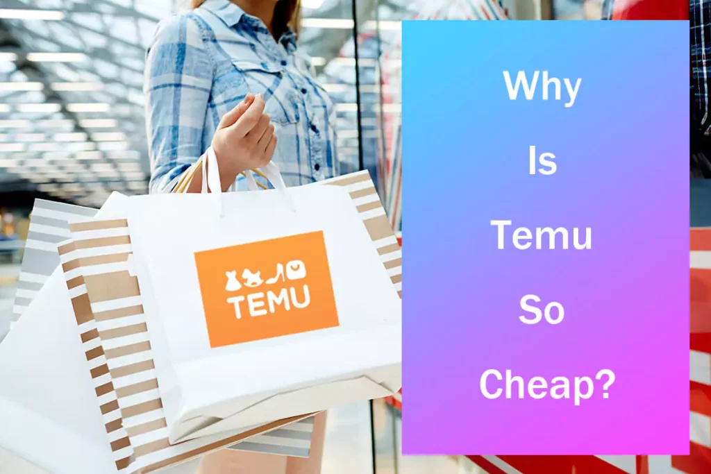 Why is Temu So Cheap